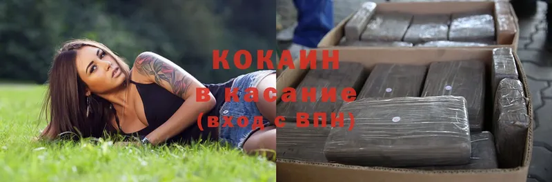 COCAIN Эквадор  Куйбышев 