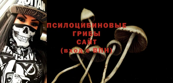 2c-b Покров