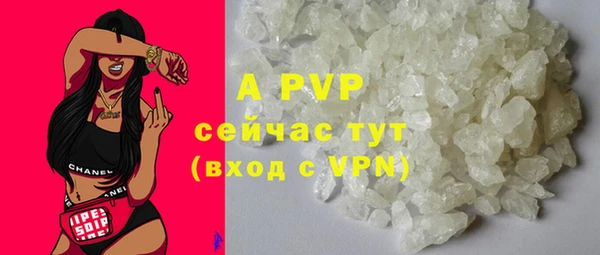 ГАЛЛЮЦИНОГЕННЫЕ ГРИБЫ Пересвет