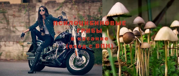 ГАЛЛЮЦИНОГЕННЫЕ ГРИБЫ Пересвет