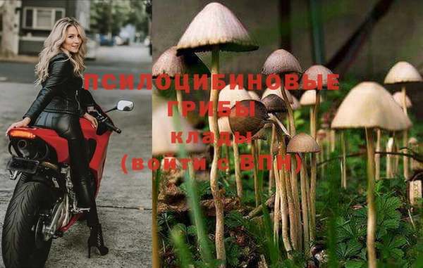 кокаин перу Покачи