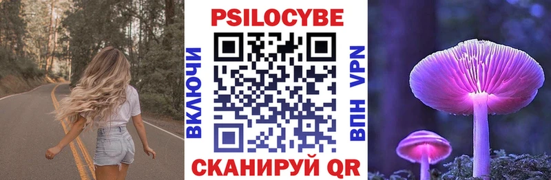 где продают Куйбышев Псилоцибиновые грибы Psilocybe