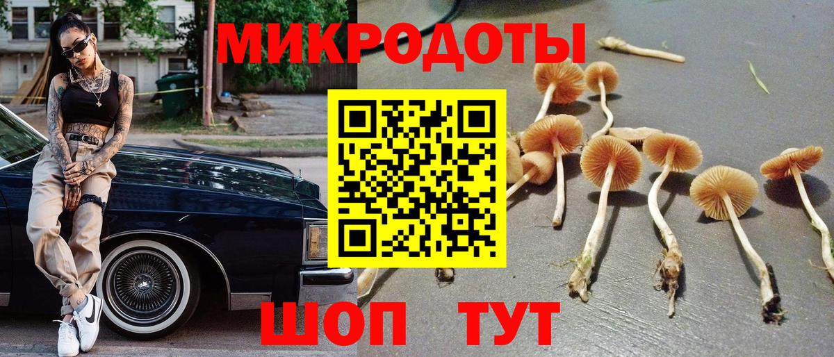 Псилоцибиновые грибы ЛСД Куйбышев