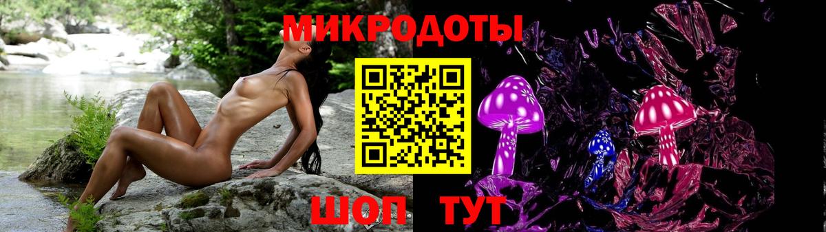 Псилоцибиновые грибы GOLDEN TEACHER  Вход с VPN  Галлюциногенные грибы GOLDEN TEACHER  Куйбышев 